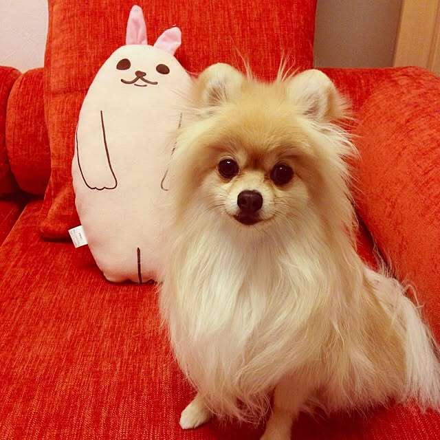 rieponさんの実例写真
