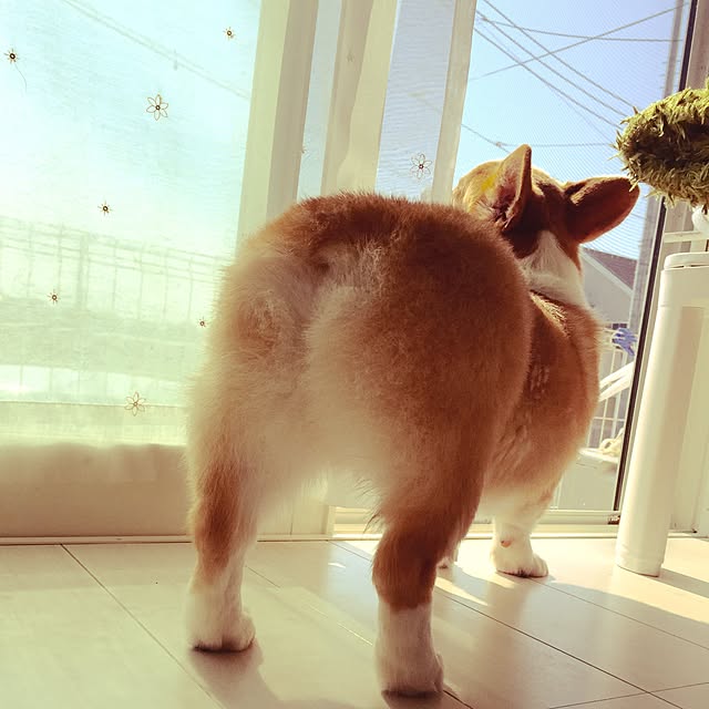 terumi.724さんの実例写真