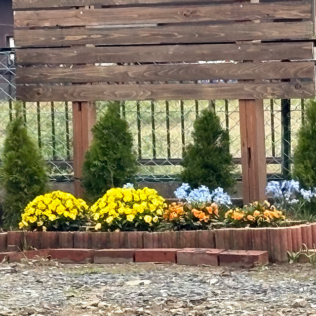 akkeyさんの実例写真