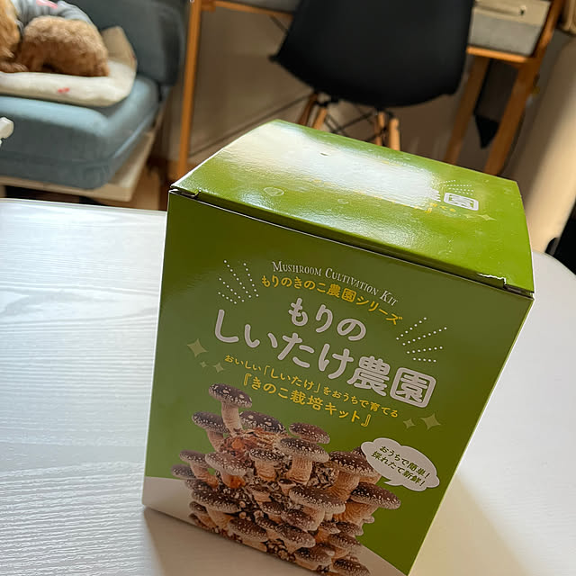 momoさんの実例写真