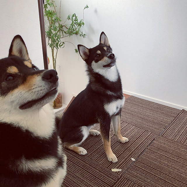 nuruiさんの実例写真