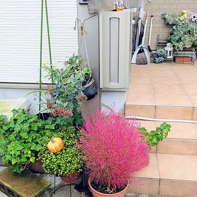 mofukoさんの実例写真
