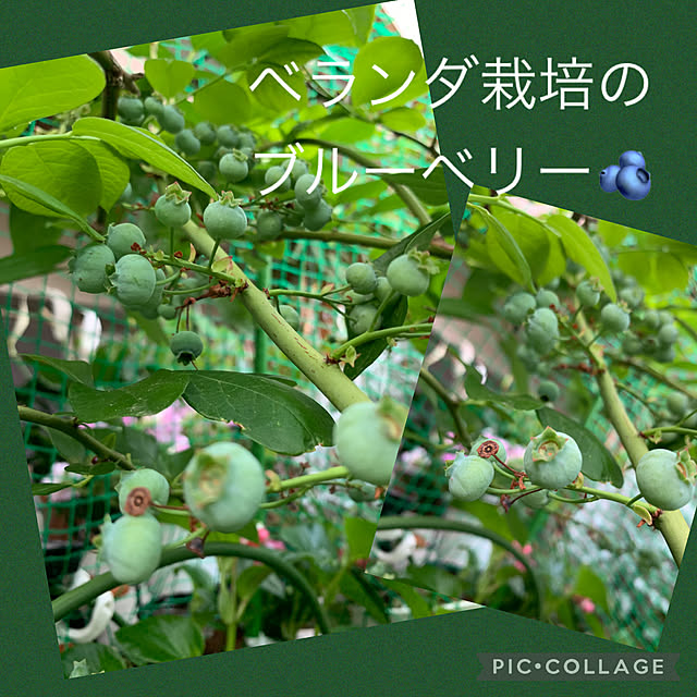 Aqettyさんの部屋