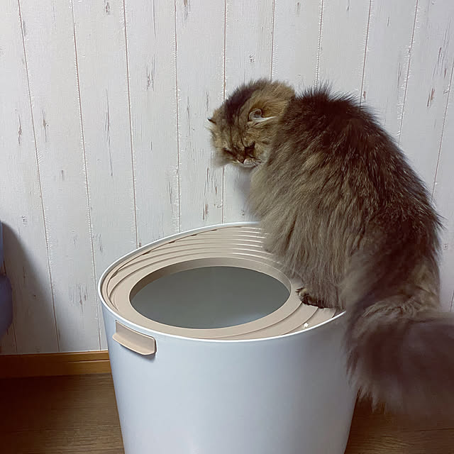 xxyumexx.roomさんの実例写真