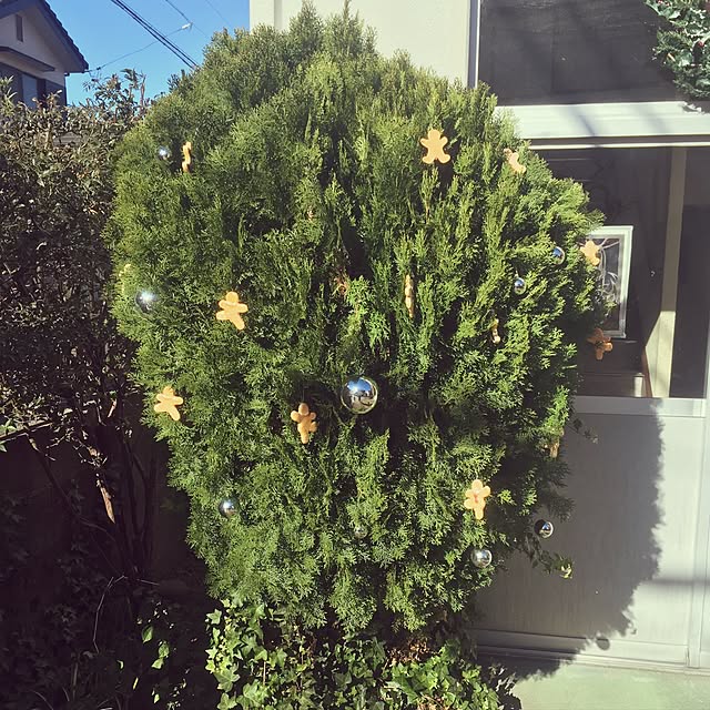chauさんの実例写真