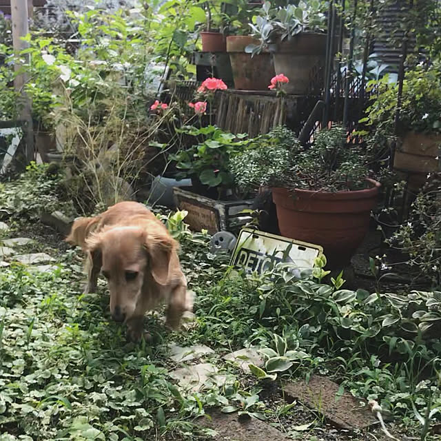 bibianさんの実例写真