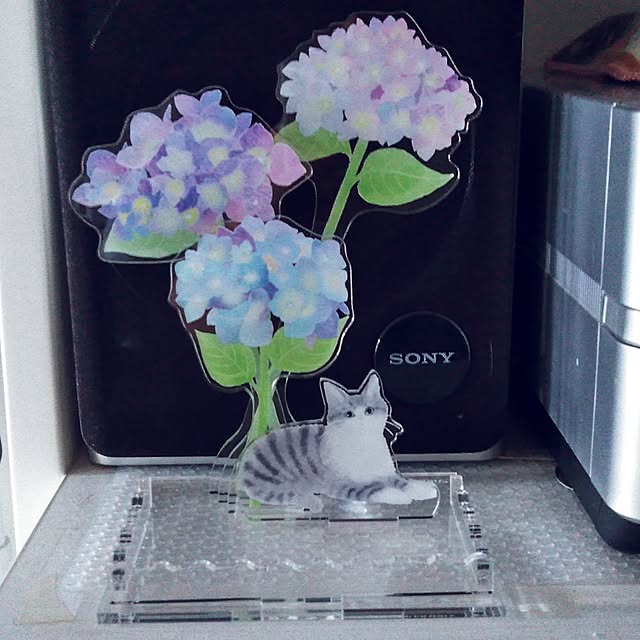 futukoさんの部屋