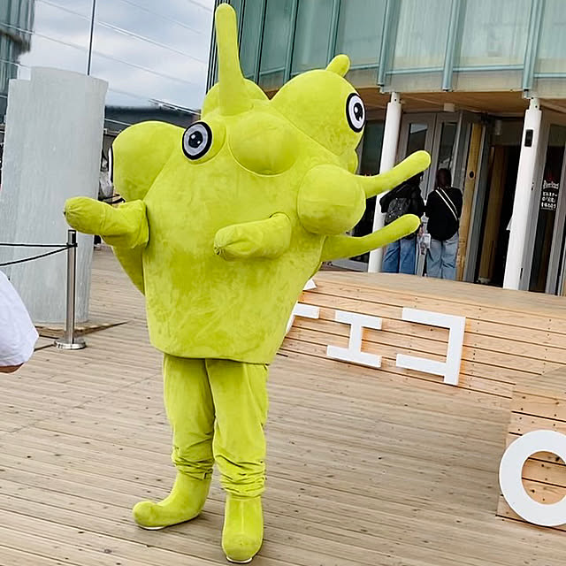 実例写真