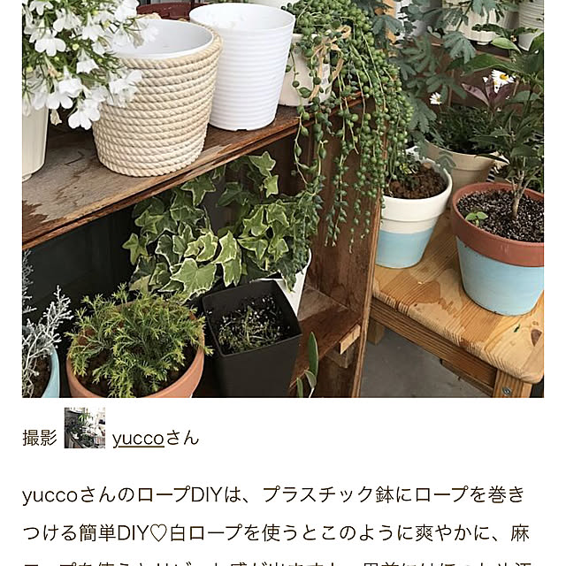 yuccoさんの実例写真
