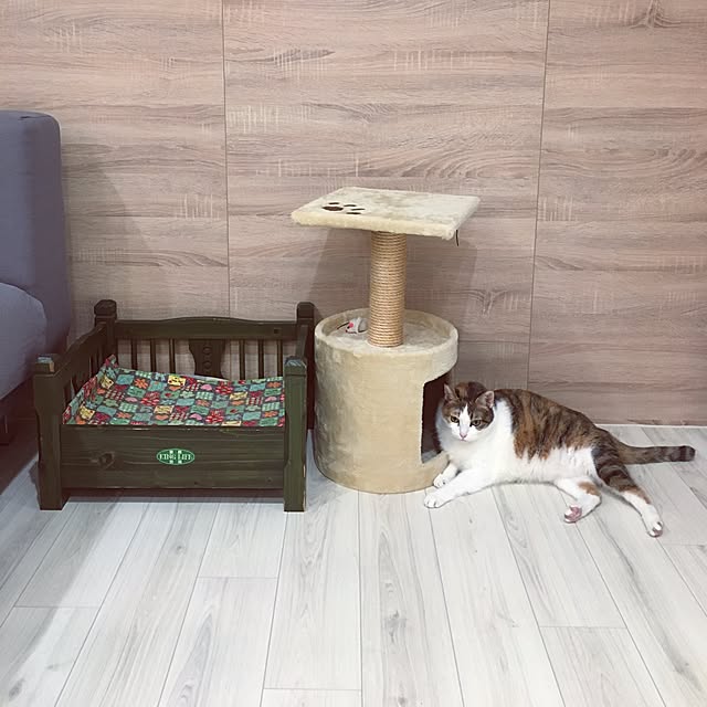 PitaHsuehさんの実例写真