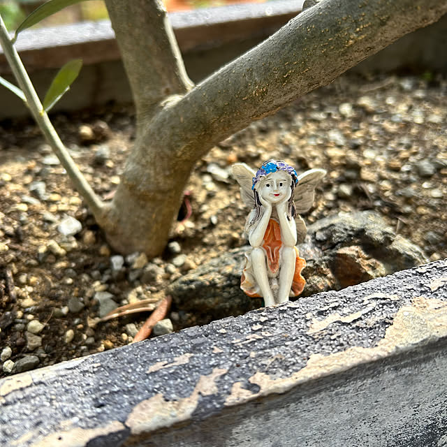 hatsugaさんの実例写真