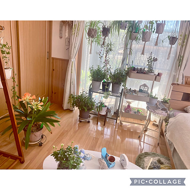 CoCo0617さんの部屋