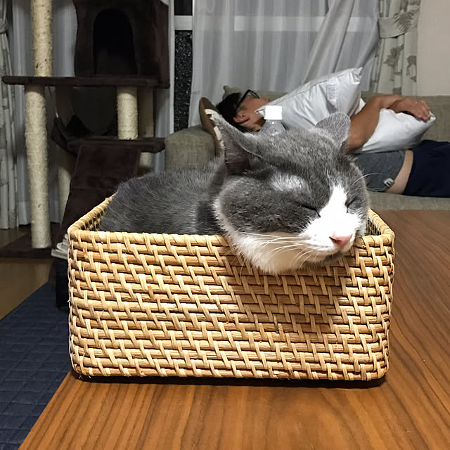 hacchiさんの実例写真
