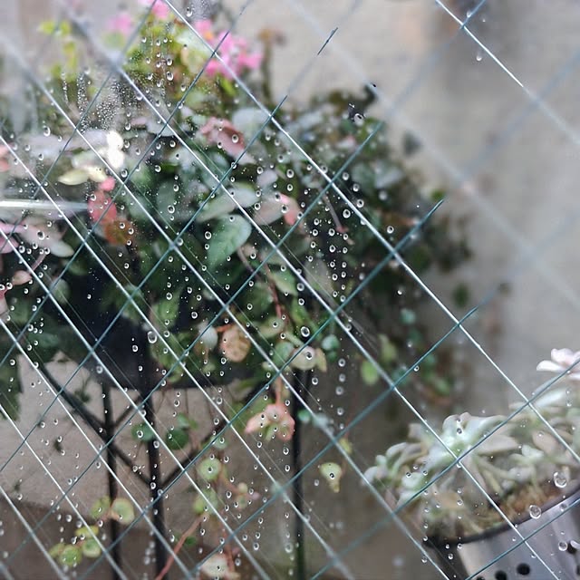 jinさんの部屋
