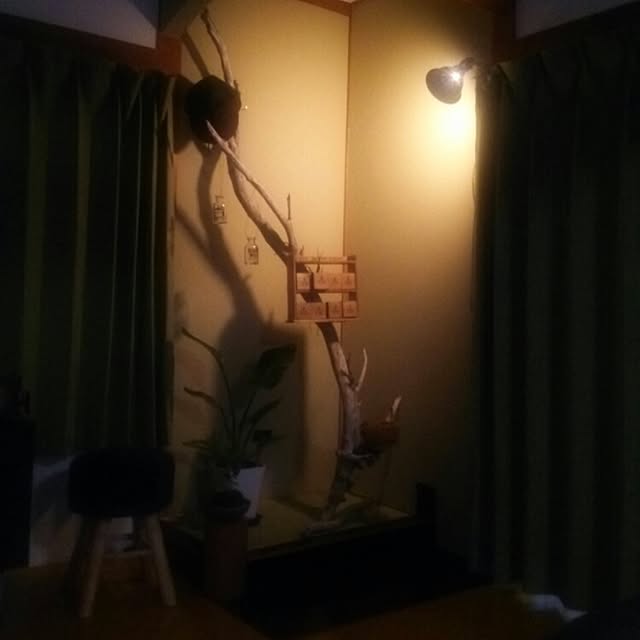 hosiimoさんの実例写真