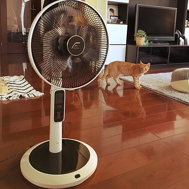 akkorosukeさんの実例写真