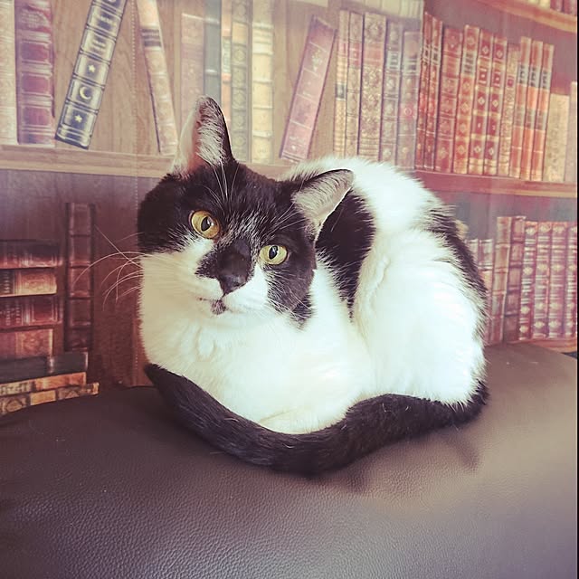NOAHさんの実例写真