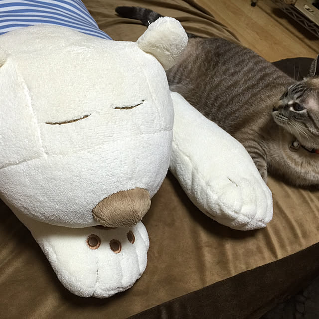 mika.さんの実例写真