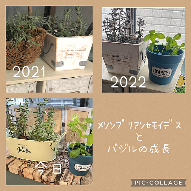 izuさんの部屋