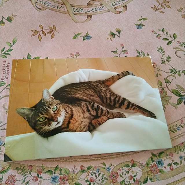 lilyさんの実例写真