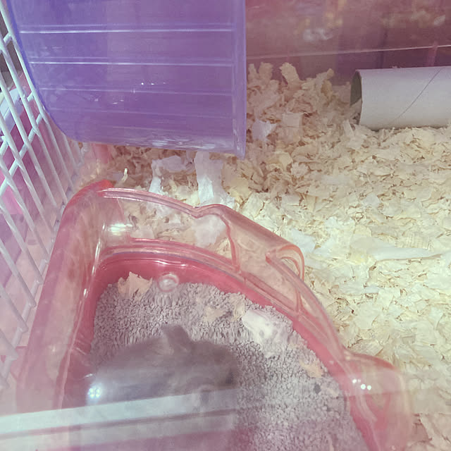 milkさんの実例写真