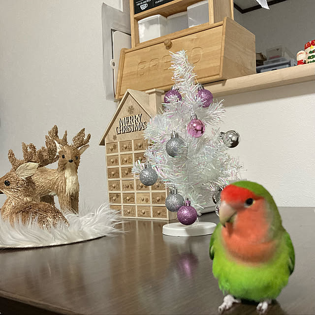 toratanさんの実例写真