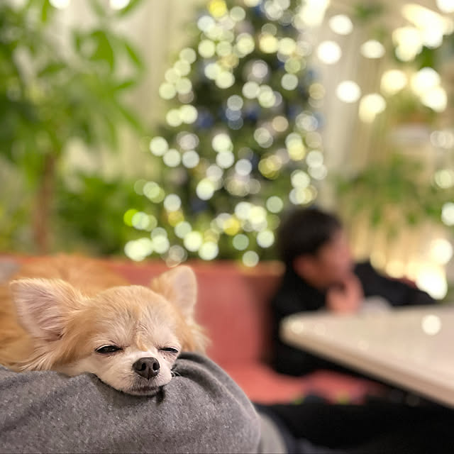 Emafuさんの実例写真