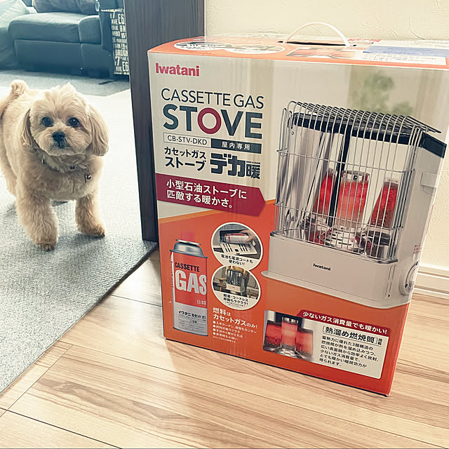 ikt.tamaさんの実例写真