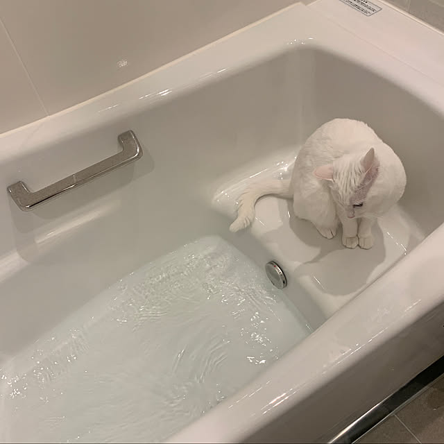 keiさんの実例写真