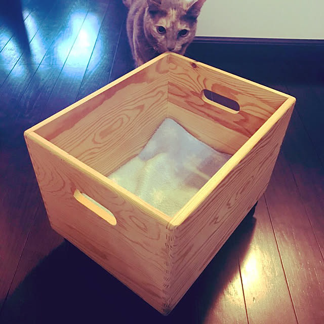 medamaさんの実例写真