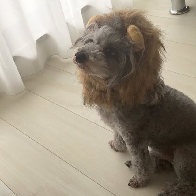 Rimioさんの実例写真