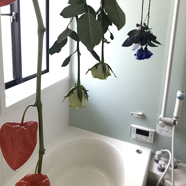 MiRiderさんの実例写真