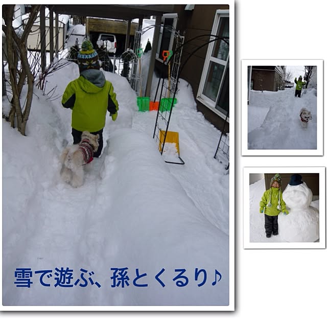 ksyanさんの実例写真