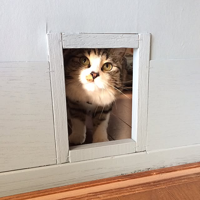 Harunさんの実例写真
