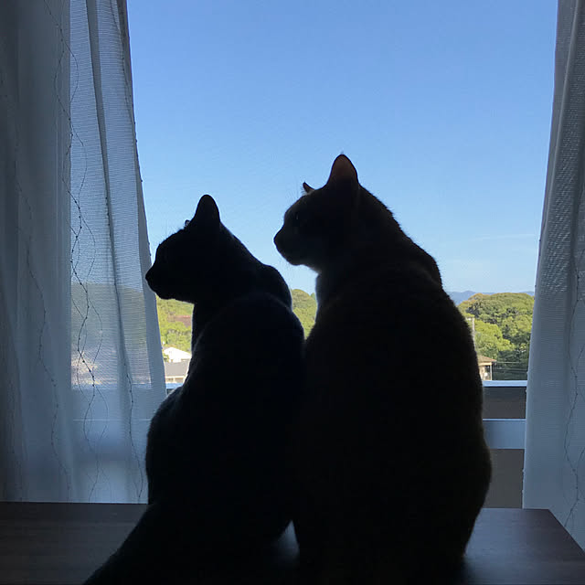 73さんの実例写真