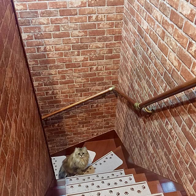 butachanさんの実例写真