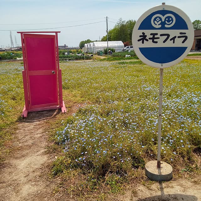 玄関/入り口/レトロ/どこでもドア/見てくれてありがとうございます♡/田舎の風景...などのインテリア実例 - 2024-05-04 21:03:32