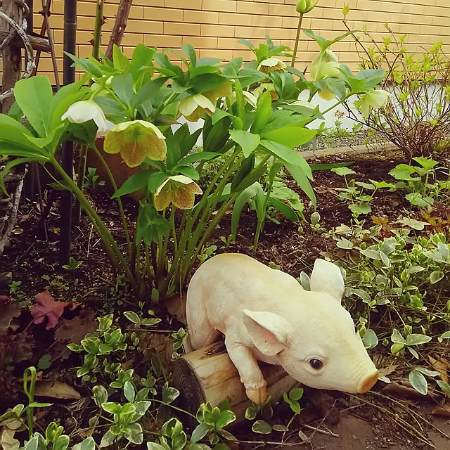 mocha351さんの実例写真