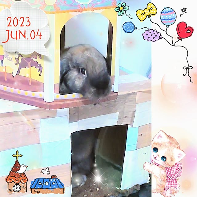 mariaさんの実例写真