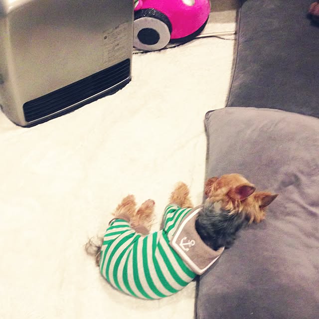 yuchinさんの実例写真