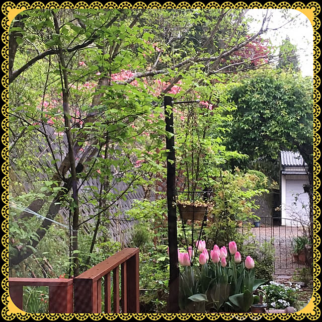 cotaさんの実例写真