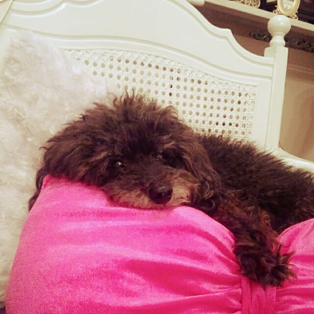 junhimeさんの実例写真