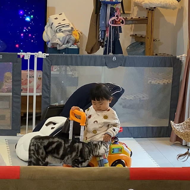 KotarouKunさんの実例写真