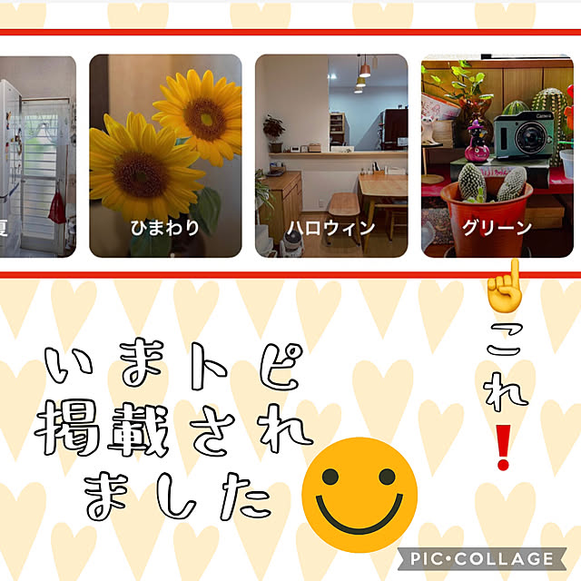 jijiさんの実例写真