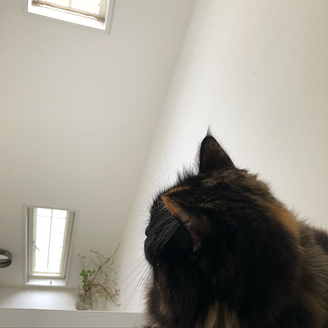 sayakaさんの実例写真
