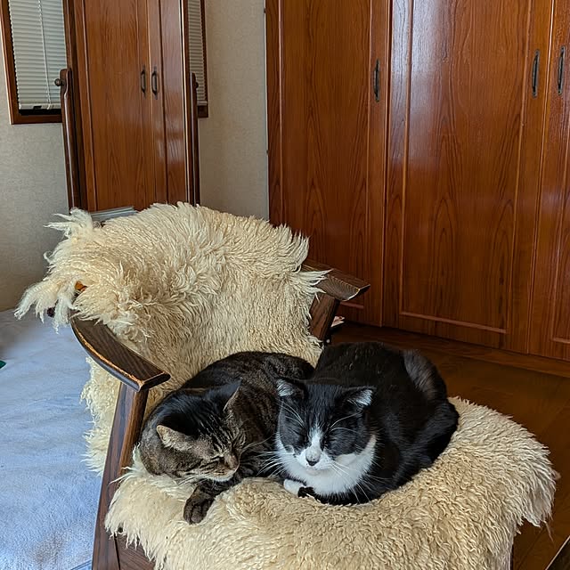 Mayumi8888さんの実例写真