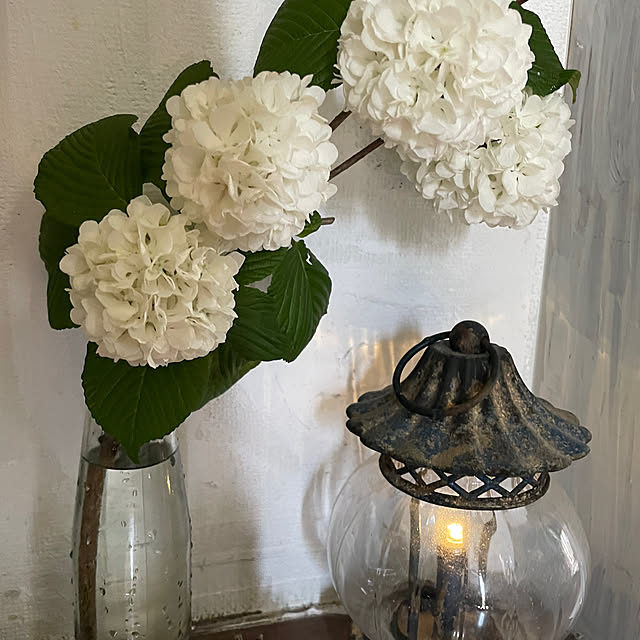 burubonさんの部屋