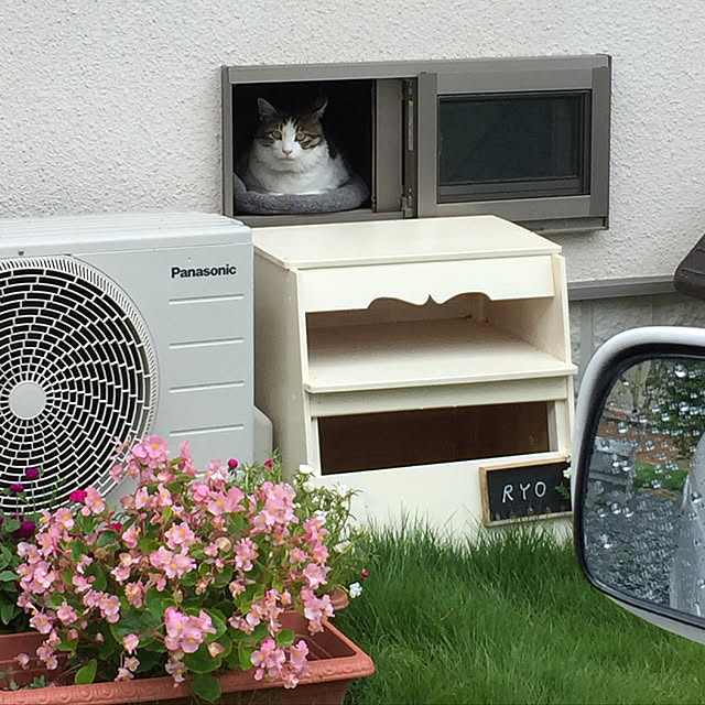 cherryさんの実例写真