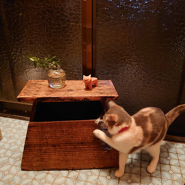 fukuさんの実例写真