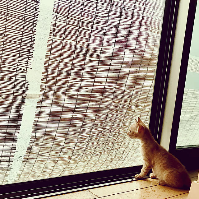 maroさんの実例写真